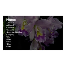 Beautiful Orchid, cattleya (ariel x labiata) Business Card Template