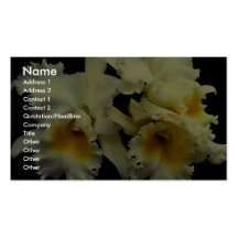 Beautiful Orchid cattleya (Doug Johnson) Business Card Templates
