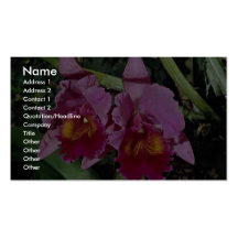 Beautiful Orchid, cattleya-hybrid (b c loosdrecht) Business Card