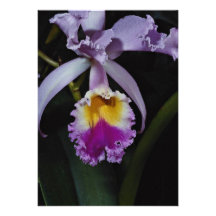 Beautiful Orchid, cattleya trianae (columbia) Personalized Invite