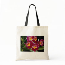 Beautiful Orchid, miltonia hybrid Canvas Bags