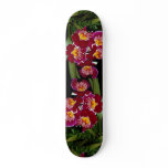 Beautiful Orchid, miltonia hybrid Skate Deck