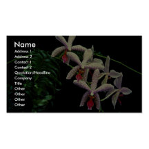 Beautiful Orchid phalenopsis (Vivian) Business Card Templates