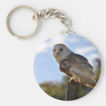 Beautiful Owl Key Chains