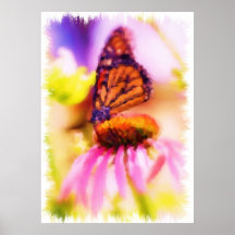 Beautiful Painted Butterfly Poster