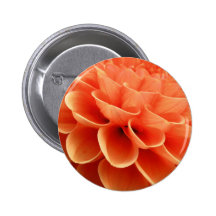 Beautiful Peach Coloured Dahlia Flower Petals Pins