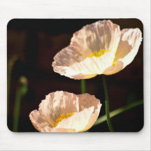 Beautiful peach poppy flowers mouse pads