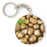 Beautiful Picture Of Conkers With A Leaf Key Chain