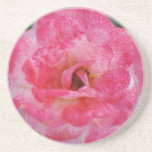 Beautiful pink and white Rose drink coaster