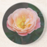 Beautiful pink and yellow Rose drink coaster