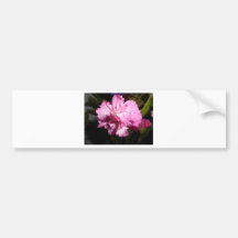 beautiful pink flower bumper sticker
