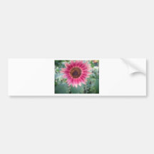 Beautiful pink flower bumper sticker