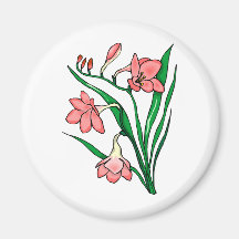 Beautiful Pink Flowers Magnets