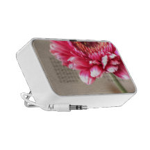 Beautiful pink gerbera on beige