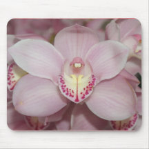 Beautiful Pink Iris Mousepads