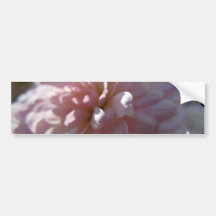 Beautiful Pink Mum Bumper Stickers