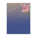 beautiful pink orchid on deep blue postcards