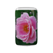 Beautiful pink rose blackberry case