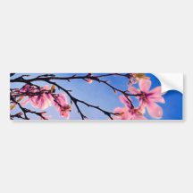 beautiful pink spring tree bumper sticker