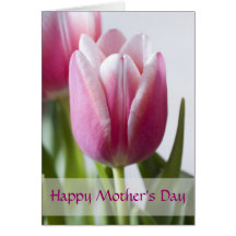 Beautiful Pink Tulip, Happy Mother's Day Greeting Cards