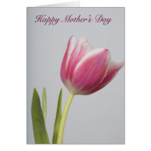 Beautiful Pink Tulip, Mother's Day Card