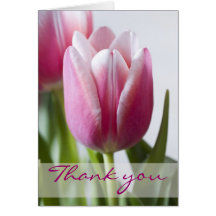 Beautiful Pink Tulip, Thank you Card