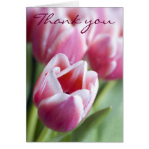 Beautiful Pink Tulip Thank You Card