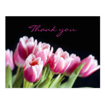 Beautiful Pink Tulips Postcard