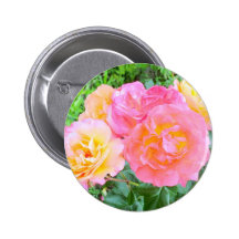 Beautiful Pink & Yellow Roses Nature Design