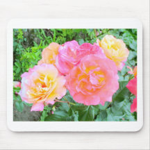 Beautiful Pink & Yellow Roses Nature Design Mousepads