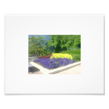 Beautiful Purple Art Photo