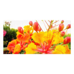 Beautiful Red and Yellow Flower Photo Card