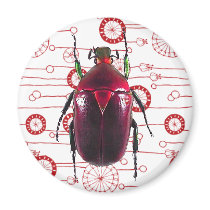 Beautiful Red Beetle On Retro Floral Refrigerator Magnets