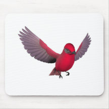 Beautiful Red Bird Mouse Pads