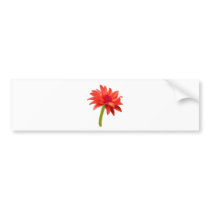 Beautiful Red Flower Bumper Stickers