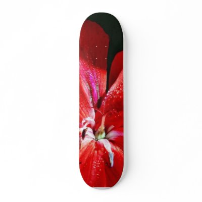 Beautiful Red Flower In Balboa Park Skateboard Decks by lifesphere