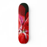 Beautiful Red Flower In Balboa Park Skateboard Decks