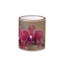 Beautiful Red Orchid Coffee Mugs