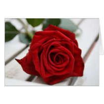 Beautiful Red Rose Card