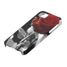 Beautiful Red Rose with Black & White background iPhone 5 Cases