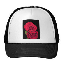 Beautiful red rose with reflection. mesh hat
