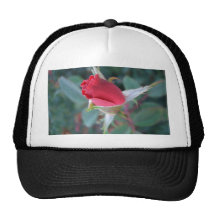 Beautiful Red Rosebud CricketDiane Roses Hats