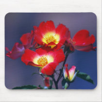 Beautiful red roses and meaning mouse pad
