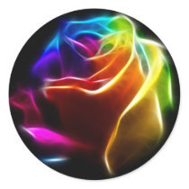 Beautiful Rose of Colours 1
