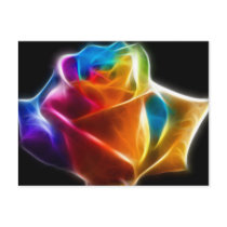 Beautiful Rose of Colours 2