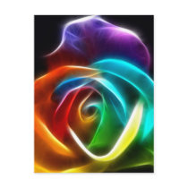 Beautiful Rose of Colours 3