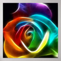 Beautiful Rose of Colours 3