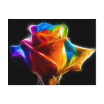 Beautiful Rose of Colours 4