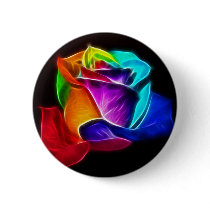 Beautiful Rose of Colours 5
