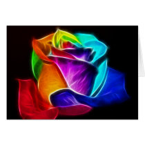 Beautiful Rose of Colours 5